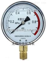 防震压力表YN-40/50/60/75/100/150